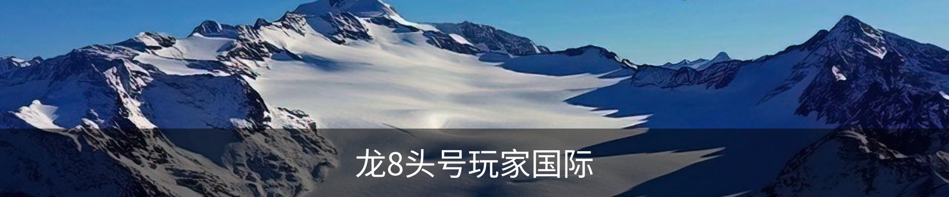 龙8头号玩家国际